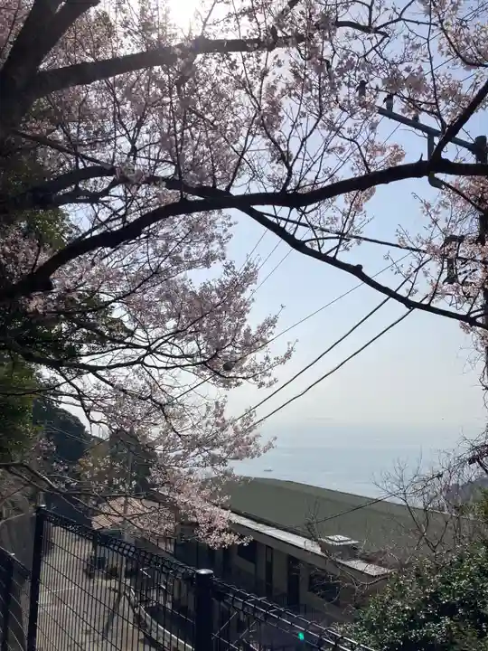 伊豆山神社(静岡県)