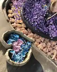 鹿島台神社の手水