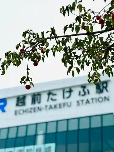 岡太神社・大瀧神社(福井県)