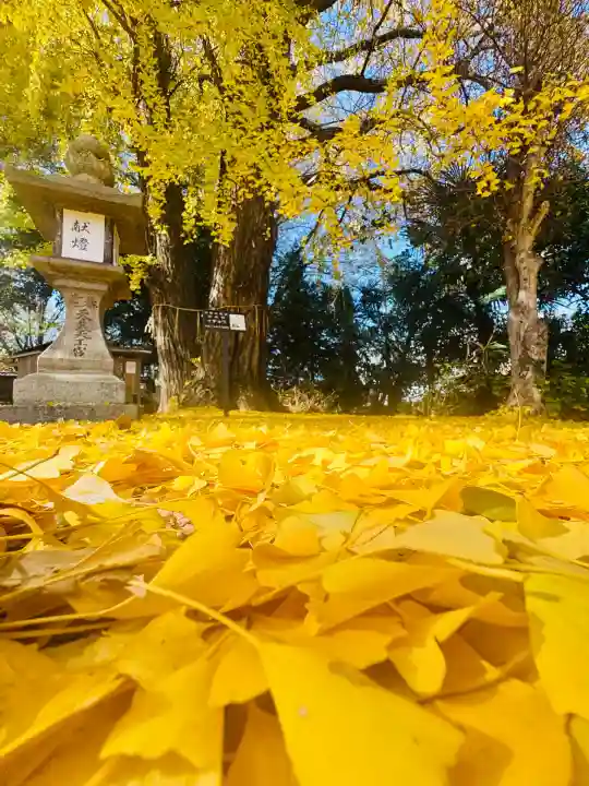 三栖神社(京都府)