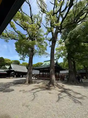 武蔵一宮氷川神社の{uncategorized: "未分類", other: "その他", undefined: "問題あり", building: "その他建物", grave: "お墓", sacred_gate: "鳥居", guardian: "狛犬", statue: "像", buddha: "仏像", history: "歴史", nature: "自然", garden: "庭園", animal: "動物", pagoda: "塔", temizu: "手水舎", mountain_gate: "山門・神門", sanctuary: "本殿・本堂", subordinate: "末社・摂社", art: "芸術", scenery: "景色", jizo: "地蔵", ema: "絵馬", goshuin: "御朱印", omikuji: "おみくじ", items: "授与品その他", amulet: "お守り", goshuincho: "御朱印帳", eats: "食事", festival: "お祭り", votive_dance: "神楽", shichigosan: "七五三参", wedding: "結婚式", experience: "体験その他", initially: "初詣", around: "周辺", anti_infection: "感染症対策"}