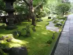 報国寺の庭園