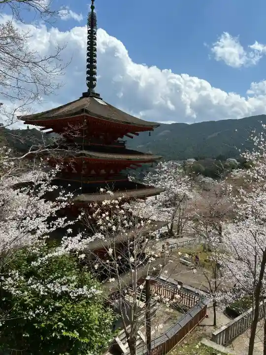 長谷寺(奈良県)