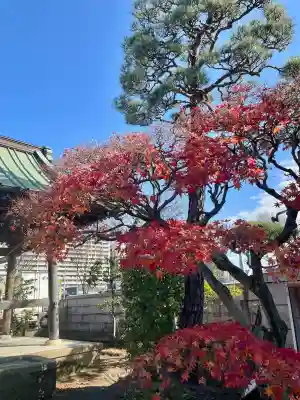 本立寺(神奈川県)