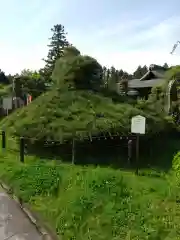 大聖寺（土浦大師不動尊）の庭園