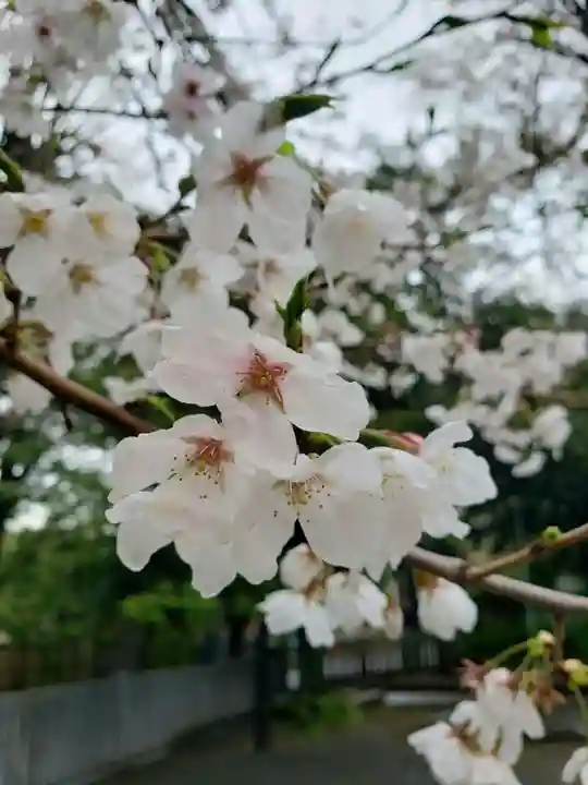 多田神社(東京都)