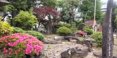 浅間神社(埼玉県)