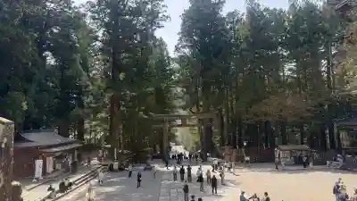 日光東照宮の{uncategorized: "未分類", other: "その他", undefined: "問題あり", building: "その他建物", grave: "お墓", sacred_gate: "鳥居", guardian: "狛犬", statue: "像", buddha: "仏像", history: "歴史", nature: "自然", garden: "庭園", animal: "動物", pagoda: "塔", temizu: "手水舎", mountain_gate: "山門・神門", sanctuary: "本殿・本堂", subordinate: "末社・摂社", art: "芸術", scenery: "景色", jizo: "地蔵", ema: "絵馬", goshuin: "御朱印", omikuji: "おみくじ", items: "授与品その他", amulet: "お守り", goshuincho: "御朱印帳", eats: "食事", festival: "お祭り", votive_dance: "神楽", shichigosan: "七五三参", wedding: "結婚式", experience: "体験その他", initially: "初詣", around: "周辺", anti_infection: "感染症対策"}