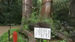 妻沼聖天山歓喜院の自然