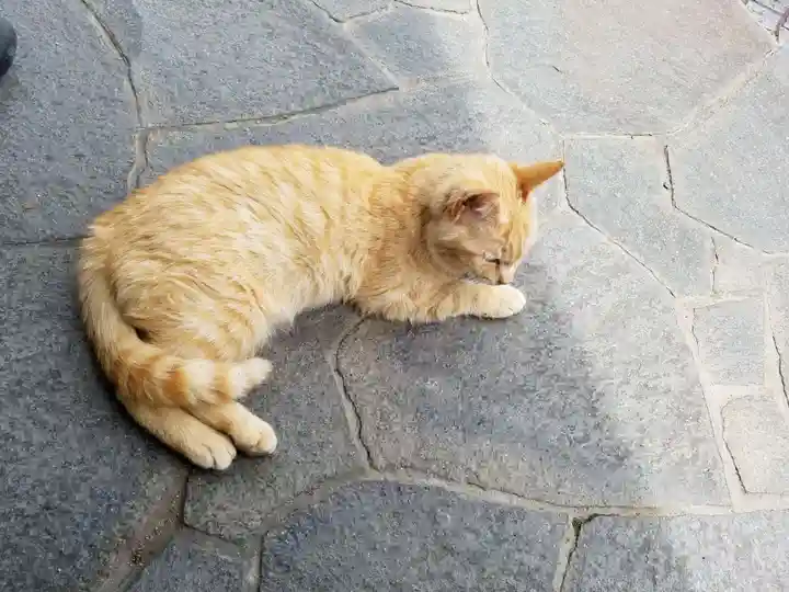 艮神社(広島県)