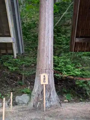 高宮神社(北海道)