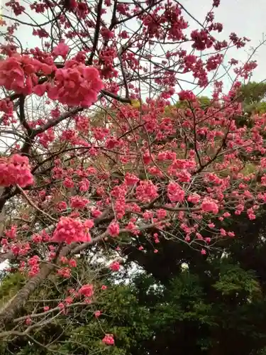 靖國神社(東京都)