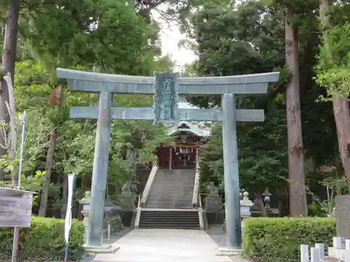 大頭龍神社の鳥居