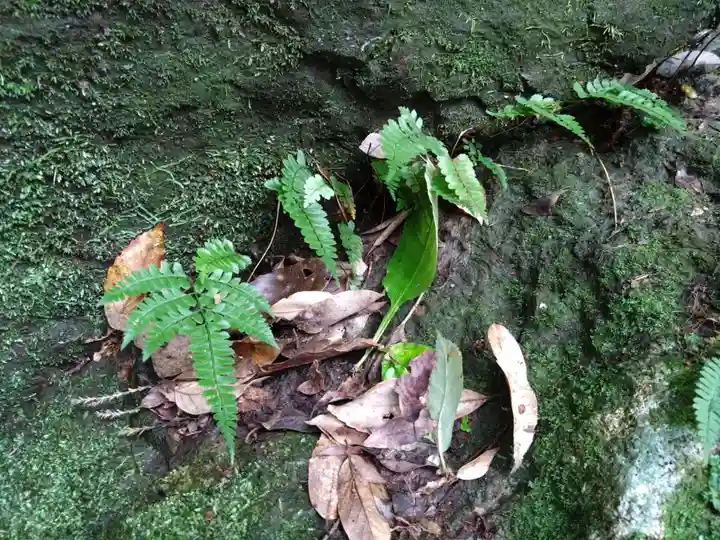 天安河原宮(宮崎県)