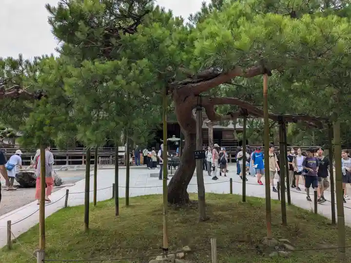 中尊寺金色堂(岩手県)