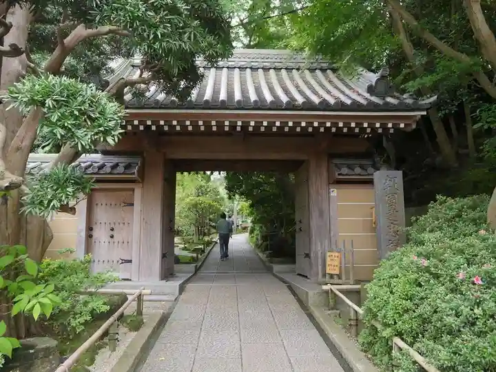 報国寺の山門・神門