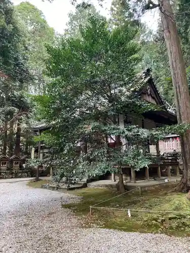 葛木御歳神社(奈良県)