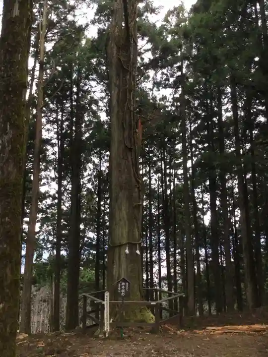 身延山奥之院思親閣(山梨県)