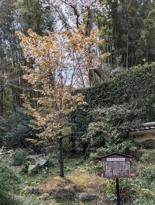 當麻寺中之坊(奈良県)