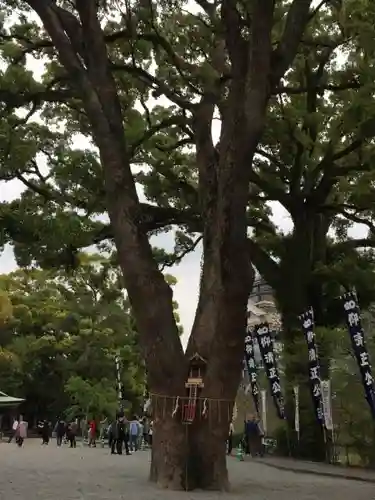 加藤神社の自然