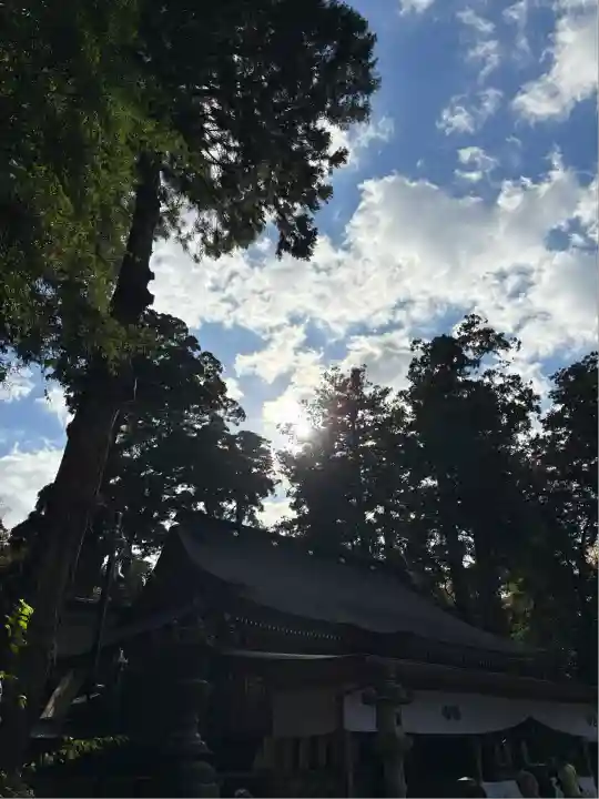 鹿島神宮(茨城県)