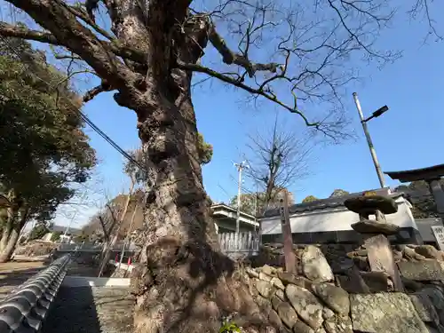 積川神社(大阪府)