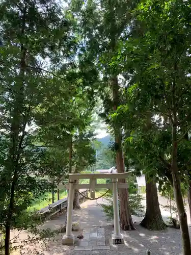 熊野神社の鳥居