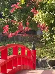 白山神社(新潟県)