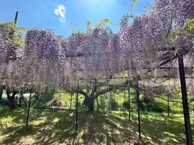 天台宗 五大山 白毫寺(兵庫県)