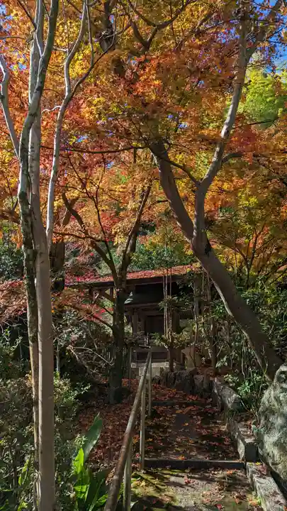 長法寺(京都府)