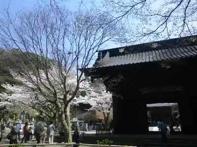妙本寺のその他建物