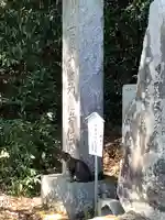 大聖寺(土浦大師不動尊)の動物