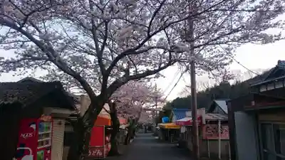 米田大師寺の自然
