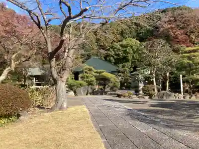 大長寺(神奈川県)