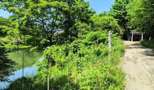 横戸元池辨天宮の自然