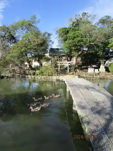 住吉神社(山口県)