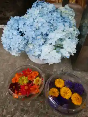 北広島市総鎮守 廣島神社の手水舎