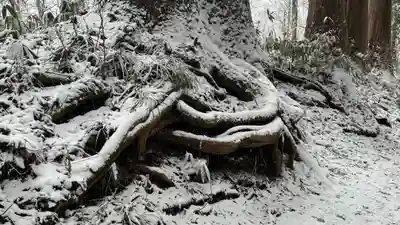 戸隠神社九頭龍社(長野県)