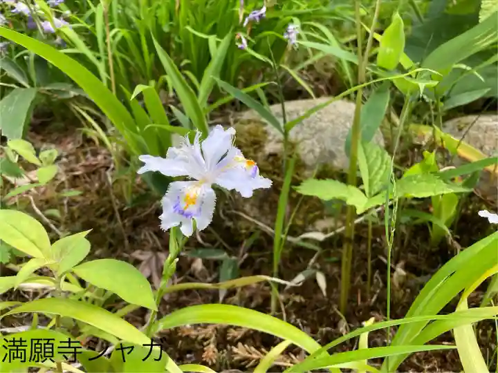 満願寺(長野県)