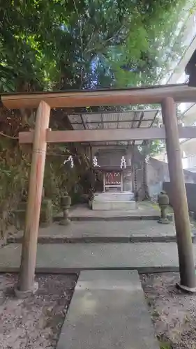大杉神社(愛媛県)
