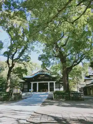 王子神社の本殿・本堂