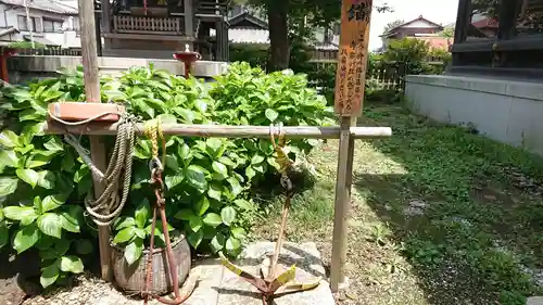 子守神社の建物その他