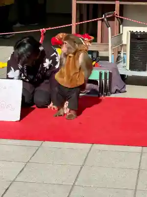 川崎大師(平間寺)の{uncategorized: "未分類", other: "その他", undefined: "問題あり", building: "その他建物", grave: "お墓", sacred_gate: "鳥居", guardian: "狛犬", statue: "像", buddha: "仏像", history: "歴史", nature: "自然", garden: "庭園", animal: "動物", pagoda: "塔", temizu: "手水舎", mountain_gate: "山門・神門", sanctuary: "本殿・本堂", subordinate: "末社・摂社", art: "芸術", scenery: "景色", jizo: "地蔵", ema: "絵馬", goshuin: "御朱印", omikuji: "おみくじ", items: "授与品その他", amulet: "お守り", goshuincho: "御朱印帳", eats: "食事", festival: "お祭り", votive_dance: "神楽", shichigosan: "七五三参", wedding: "結婚式", experience: "体験その他", initially: "初詣", around: "周辺", anti_infection: "感染症対策"}
