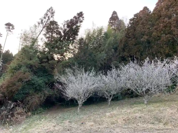 八幡神社の自然