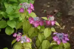 東海市熊野神社の手水