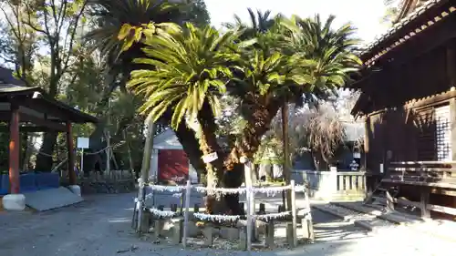 廣瀬神社の自然