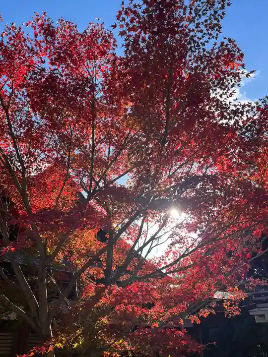 鹿嶋神社(兵庫県)