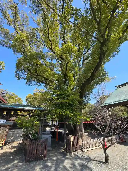 和泉國一之宮 大鳥大社の{uncategorized: "未分類", other: "その他", undefined: "問題あり", building: "その他建物", grave: "お墓", sacred_gate: "鳥居", guardian: "狛犬", statue: "像", buddha: "仏像", history: "歴史", nature: "自然", garden: "庭園", animal: "動物", pagoda: "塔", temizu: "手水舎", mountain_gate: "山門・神門", sanctuary: "本殿・本堂", subordinate: "末社・摂社", art: "芸術", scenery: "景色", jizo: "地蔵", ema: "絵馬", goshuin: "御朱印", omikuji: "おみくじ", items: "授与品その他", amulet: "お守り", goshuincho: "御朱印帳", eats: "食事", festival: "お祭り", votive_dance: "神楽", shichigosan: "七五三参", wedding: "結婚式", experience: "体験その他", initially: "初詣", around: "周辺", anti_infection: "感染症対策"}