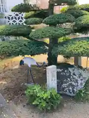 宝持院の庭園