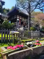 二尊院の{uncategorized: "未分類", other: "その他", undefined: "問題あり", building: "その他建物", grave: "お墓", sacred_gate: "鳥居", guardian: "狛犬", statue: "像", buddha: "仏像", history: "歴史", nature: "自然", garden: "庭園", animal: "動物", pagoda: "塔", temizu: "手水舎", mountain_gate: "山門・神門", sanctuary: "本殿・本堂", subordinate: "末社・摂社", art: "芸術", scenery: "景色", jizo: "地蔵", ema: "絵馬", goshuin: "御朱印", omikuji: "おみくじ", items: "授与品その他", amulet: "お守り", goshuincho: "御朱印帳", eats: "食事", festival: "お祭り", votive_dance: "神楽", shichigosan: "七五三参", wedding: "結婚式", experience: "体験その他", initially: "初詣", around: "周辺", anti_infection: "感染症対策"}